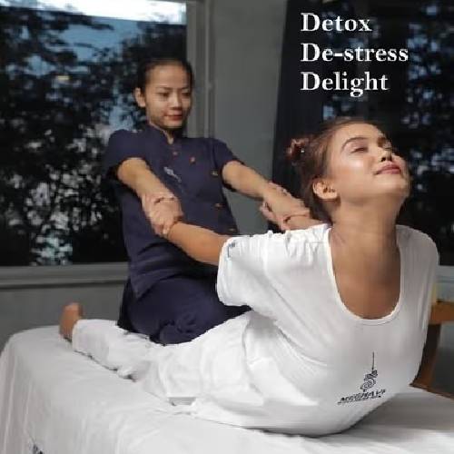 Meghavi Wellness Fest | Oct 27 2025 | Chennai