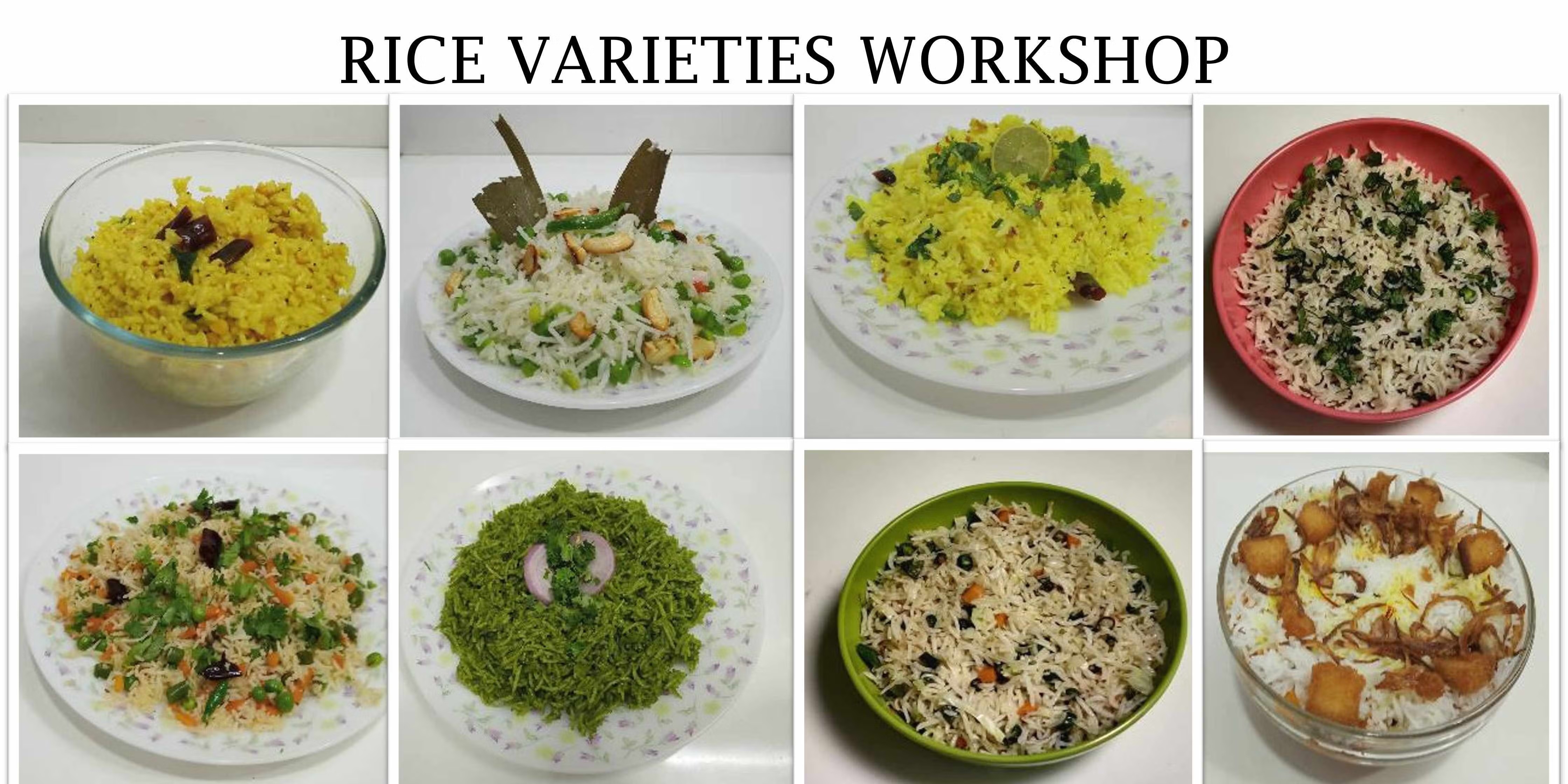Rice Varieties Workshop | 23 Nov 2025 | Chennai