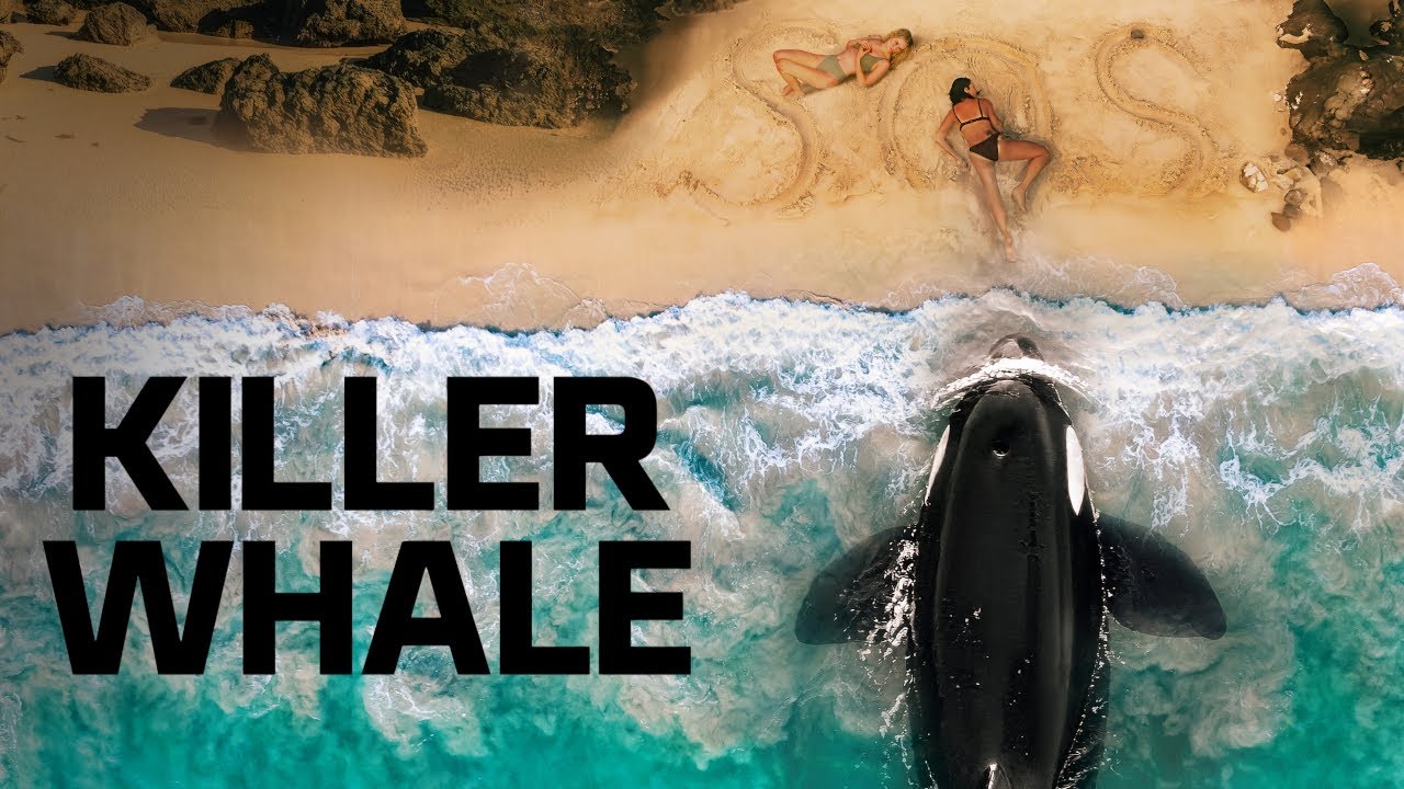 Killer Whale | April 3, 2026 Thriller