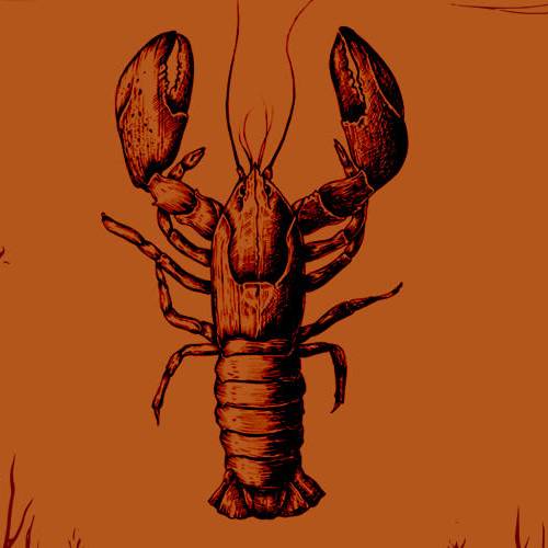 Mi Amore & Lobster Chennai May 15 2026 | Teynampet