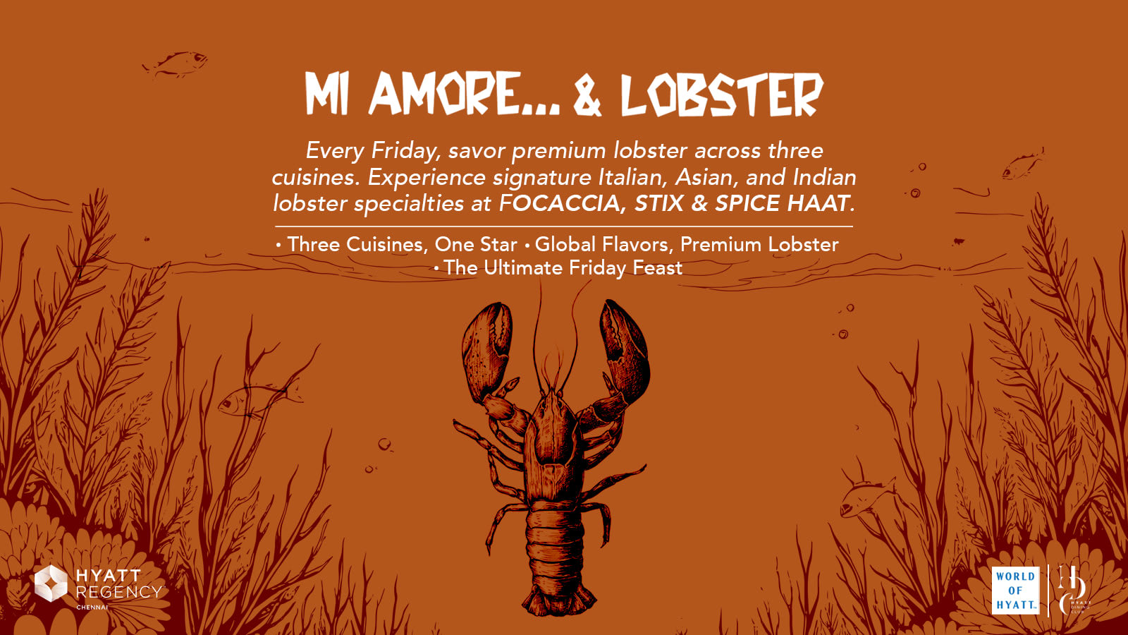 Mi Amore & Lobster Chennai May 15 2026 | Teynampet