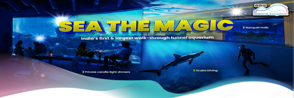 VGP-Marine-Kingdom-Chennai
